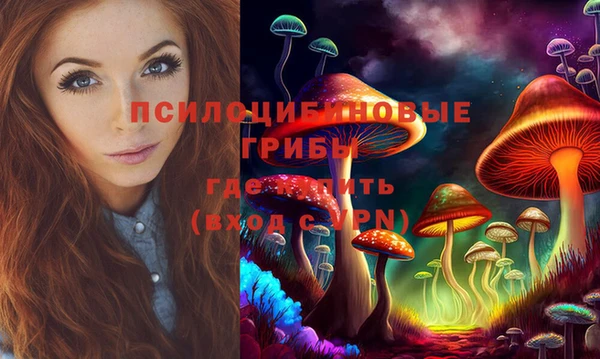стафф Абдулино