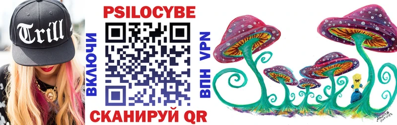 хочу   OMG вход  Псилоцибиновые грибы мухоморы  Терек 