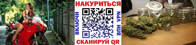 Бошки марихуана планчик  купить  цена  Терек 